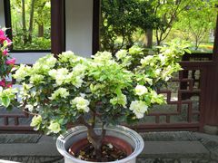 -汇龙潭