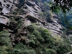 -碧峰峡风景区