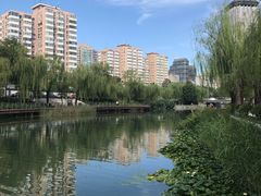 -La Medina餐厅(亮马河南路店)