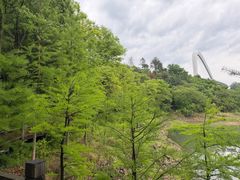 -天目湖山水园