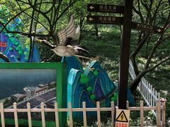-南山植物园