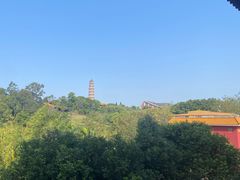 -广州莲花山旅游区