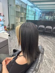 -YESIDO椰岛造型
