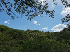 -大岭沟猕猴桃谷风景区