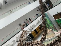 -中国地质大学逸夫博物馆