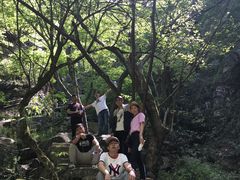 -藏龙百瀑风景区