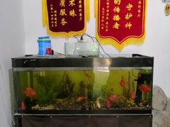 -绿野餐厅(上海动物园店)