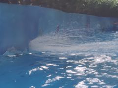 -郑州方特水上乐园