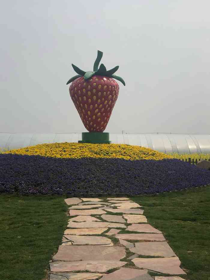 傅家边张记·草莓园-"今年是吃草莓吃的最爽的一年了,因为今年疫.