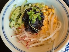 -喜悦烤鸭·新京菜(王府井店)