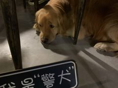 -谜语人真人演绎沉浸式密室实景游戏剧场