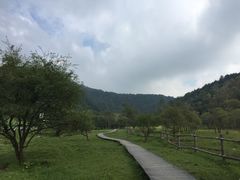 景点-大水川景区