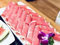 内蒙草原羔羊-哇哇叫