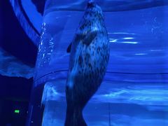 -上海海昌海洋公园-冰山北极馆