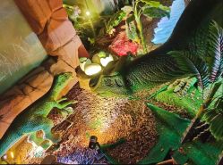 -恐龙探索乐园(磁器口店)