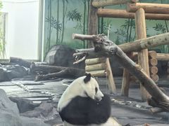 -秦皇岛野生动物园