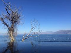 -大理无舍度假酒店