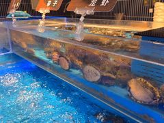 -海底捞火锅(长宁路龙之梦店)