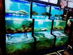 水产区-老东镇啤酒屋海鲜加工·蒸汽海鲜·海鲜烧烤(台东店)