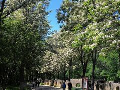 -石家庄市植物园
