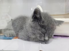 -乐宠宠物店(世纪金源店)