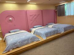 -圣爵菲斯大酒店(长沙世界之窗店)