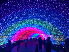 android_upload_pic-秀丽东方