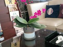 -百姓康洁洗浴中心