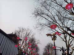-大雁塔北广场音乐喷泉