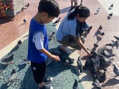 -加泰罗尼亚广场