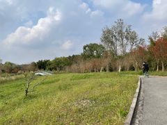 -东平国家森林公园