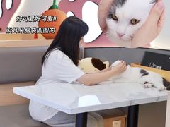 -喵园·猫主题咖啡厅·撸猫·猫咖(国贸店)