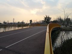 -白鹭湾湿地公园