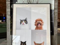 -KUDDO COFFEE(深圳湾总部)