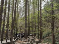 -国家植物园南园