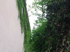 -胡雪岩故居
