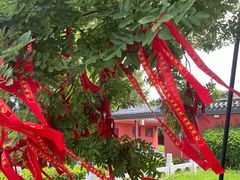 -药王庙(安国市)