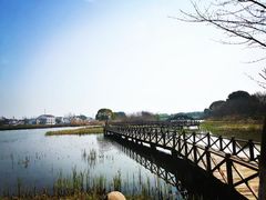 -梁鸿国家湿地公园