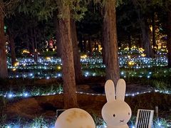 -月坛公园