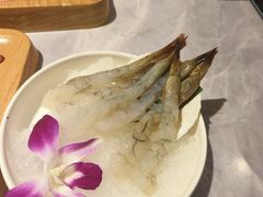 -一绪に寿喜烧自助(世茂广场店)