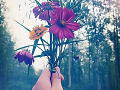 -合肥滨湖国家森林公园