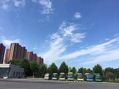 -大锅强·蒸海鲜青岛菜(吾悦广场店)