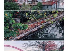 -喜洲吧·江畔老船厂·庭院餐厅(喜临院店)