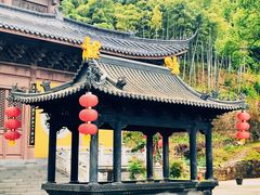 -东明山森林公园