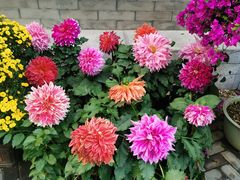 -三人行骨头王火锅(长寿店)