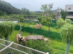 -沈阳森林动物园