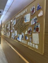 -上海首尔丽格医疗美容医院