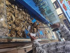 -鸿腾国际大酒店-海鲜姿造海鲜烤肉自助餐