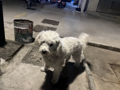 -大润发(梅兰东路店)