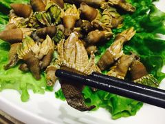 -骏莱海鲜鱼港(五角场店)